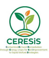 6 Progetti di ricerca