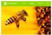 BIOBEE Progetti di ricerca