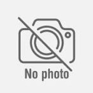 noimage-ro16xtf9rszwoo97gfq8xw1p2zt61gcvew9pxefcfs Progetti GREEN ACT 4U